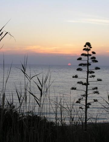 Monastery of Koronato