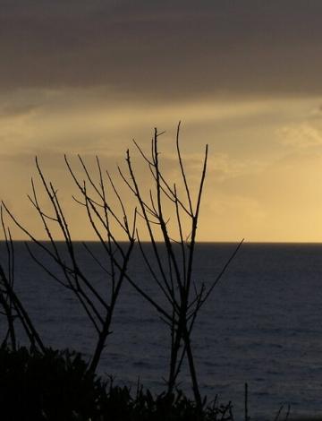 Monastery of Theotokos at Sissia